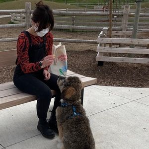 Madewell black Denim overalls.